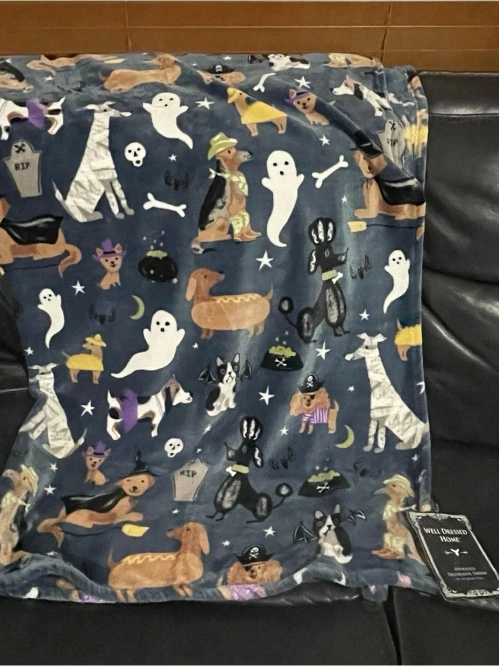 Halloween Well Dressed Home Custumed Dogs Throw - Halloween Dogs Throw